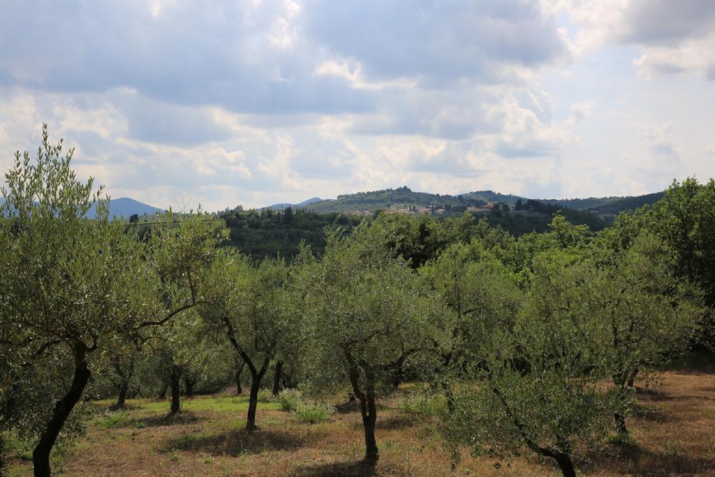 Villa Francesca Rignano sullʼArno Eksteriør billede