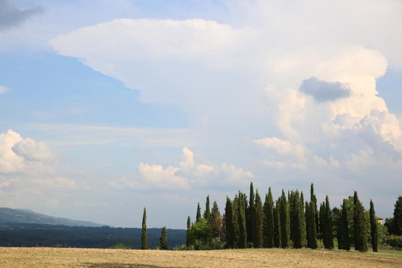 Villa Francesca Rignano sullʼArno Eksteriør billede