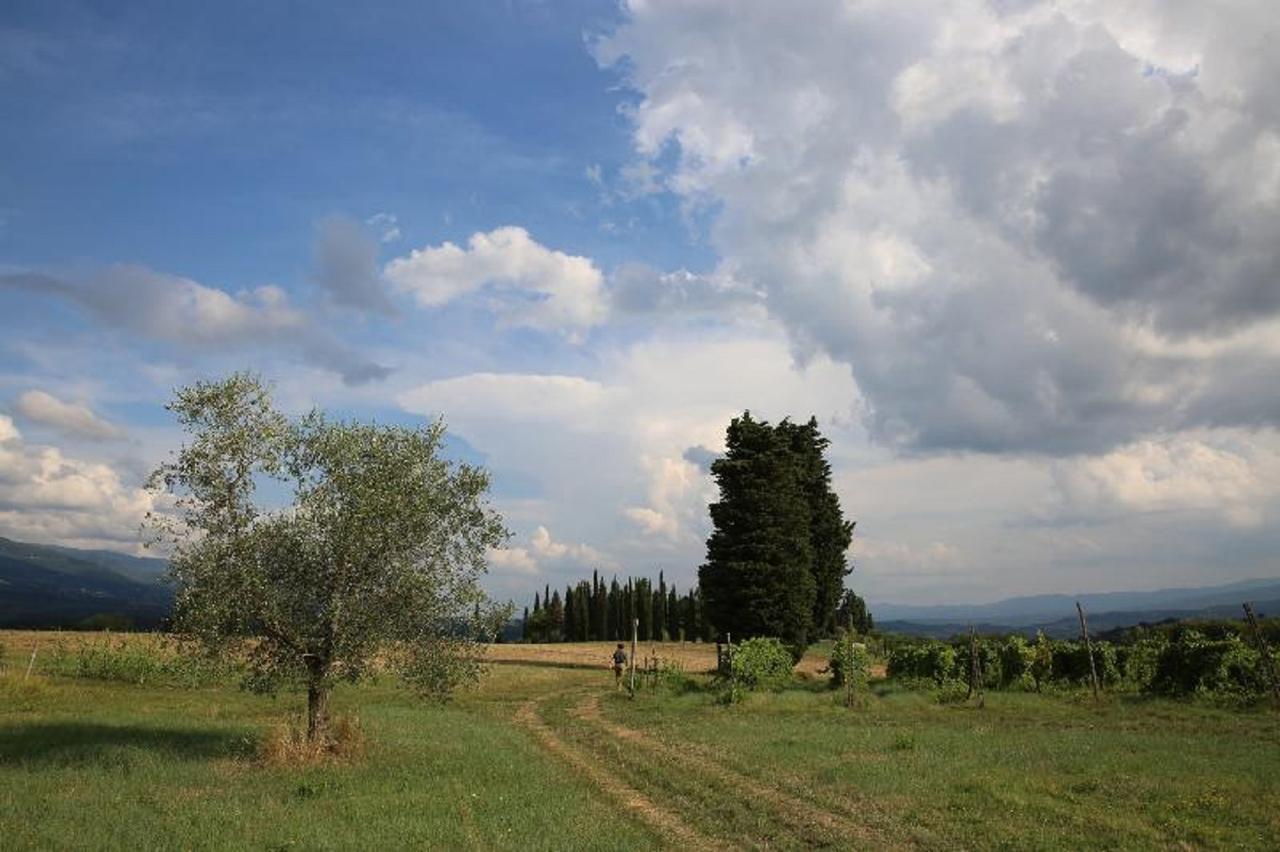 Villa Francesca Rignano sullʼArno Eksteriør billede